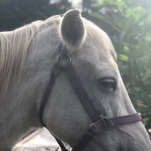 Meet your Posher, Georgianna